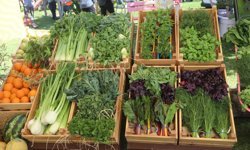 5'inci FoodFest Antalya için geri sayım başladı