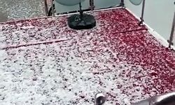 Adana'da sağanak ve dolu yağışı; cadde ve sokaklar beyaza büründü