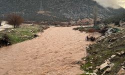 Antalya'da sağanak; dereler taştı, tarım alanlarını su altında kaldı