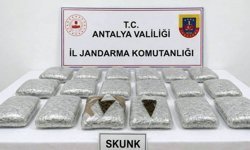 Araçta, 30 kilogram uyuşturucu