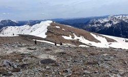 Çiriş bitkisi toplarken öldü
