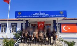 Hatay'da 14 kaçak göçmen yakalandı
