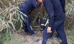 Hatay'da 4 metre derinliğinde kuyuya düşen köpeği itfaiye kurtardı