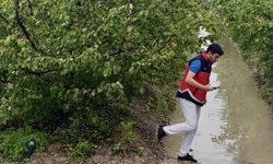 Hatay'da etkili olan dolu, tarım arazilerine zarar verdi