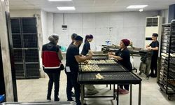 Hatay'da gıda güvenliği kontrol altında