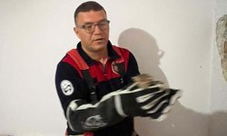 Hatay'da havalandırma ve baca boşluklarına düşen 5 yavru kedi kurtarıldı