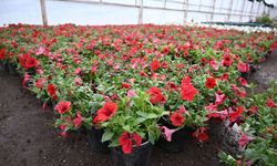 Kemer yaz sezonuna hazırlanıyor