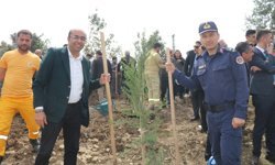 Kozan'da bin 500 fidan, toprakla buluştu