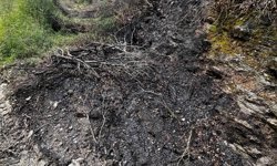 Makilik yangını büyümeden söndürüldü