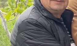 Mantar toplamak için çıktığı dağda ölü bulundu