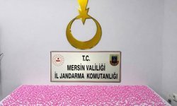 Mersin'de uyuşturucu operasyonunda 2 tutuklama