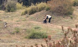 Ormanda erkek cesedi bulundu