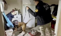 Osmaniye'de uyuşturucu operasyonu, 4 tutuklu