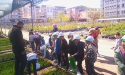Osmaniye'de 'Yeşil Vatan' eğitimleri aralıksız sürüyor