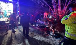 Otomobil ağaca çarptı: 2 ölü, 2 yaralı