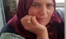 Otomobil şarampole düştü: 1 ölü, 3 yaralı