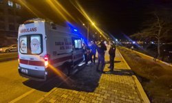 Otomobilin göl kenarına uçtuğu kaza kamerada