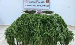 Serik'te uyuşturucu operasyonu: 1 tutuklu