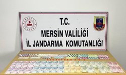 Silfike'de kumar oynayanlara 243 bin lira ceza kesildi