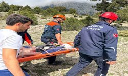 Uçuruma düşüp yaralandı, ekiplerin ortak çalışmasıyla kurtarıldı