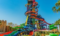 Waterfly kapılarını açıyor