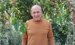 Zeytin, erik, hurma, biber domates en çok tercih edilenler