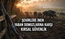 Şehirlere İnen Yaban Domuzlarına Karşı Kırsal Güvenlik: İdeal Savunma Tüfekleri Nelerdir?