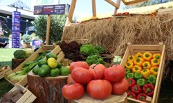 5. Uluslararası Foodfest Antalya Gastronomi Festivali başlıyor