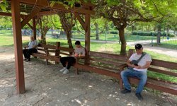 Adana'da termometreler 35 dereceyi gösterdi