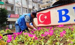 Akdeniz'de parklar çiçekle renkleniyor