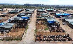 Başkan Yıldız: Toroslar'a yakışan kalıcı ve modern bir kurban satış alanı şart