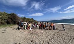 Gazipaşa'da yılın ilk caretta caretta yuvası korumaya alındı