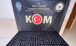 Hatay'da 309 adet sikke ele geçirildi