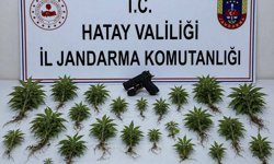 Hatay'da 71 kişi gözaltına alındı