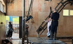 Hatay'da mezbahalar bayram boyunca vatandaşın hizmetinde