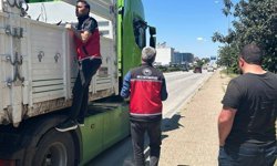 Hayvan nakil araçlarına sıkı denetim