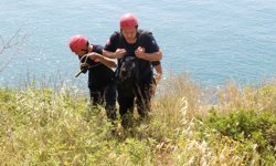 Kedi kovalarken falezlerden düşen köpek, dronla tespit edilip kurtarıldı