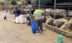 Kepez'de kurban satış ve kesim yerleri denetim altında