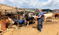 Kepez'in kurban pazarları hizmette