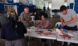 Kurban Bayramı'nda hijyenik kesim hizmeti