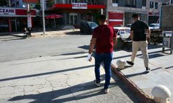 Kurbanlık boğanın boynuzuyla bacağından yaralandı, 60 dikiş atıldı