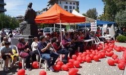 LÖSEV'den bayram öncesi 180 aileye et desteği