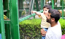 Tarsus Doğa Parkı bayramda 28 bin ziyaretçiyi ağırladı