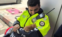Uygulama noktasında durdurulan otomobilin motorundan 3 yavru kedi çıktı
