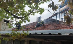 Yangında evde kalan kediyi itfaiye kurtardı