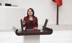 CHP’li Gülcan Kış’tan Ekonomi Çıkışı: “Tarlada İthalat, Cepte Borç Var”