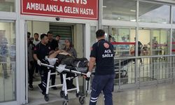Adana'da devrilen biçerdöverin sürücüsü yaralandı