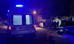 Alacak verecek kavgasında kendisini tabancayla yaralayan kardeşini bıçaklayarak öldürdü