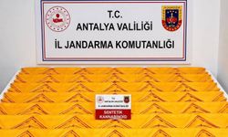 Alanya'da uyuşturucu operasyonu