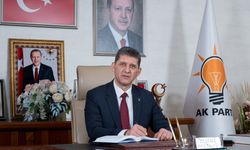Ali Çetin: Bari sineklerle mücadele etseydiniz